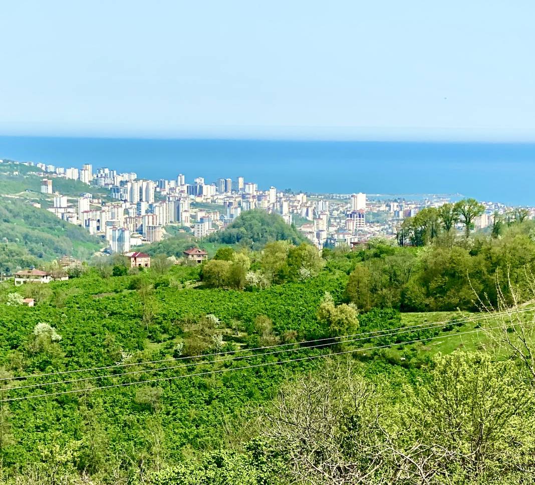 Fatsa Tahtabaş Köyü Resimleri 11