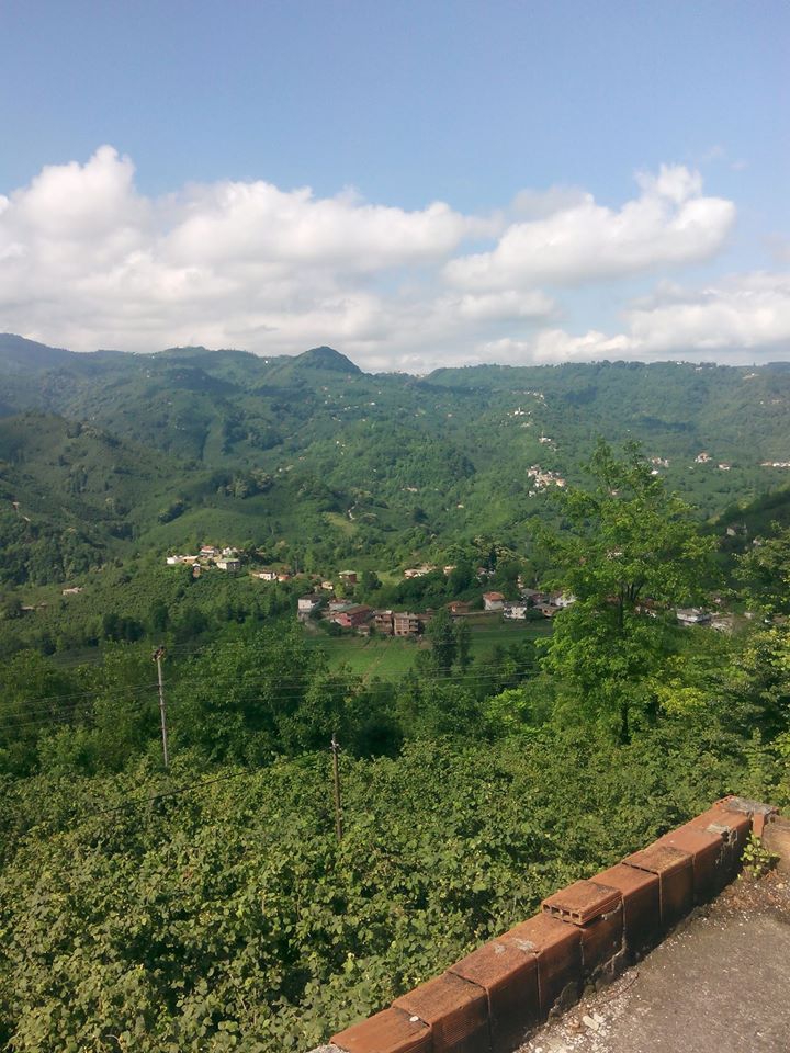 Fatsa Tayalı Köyü Resimleri 1