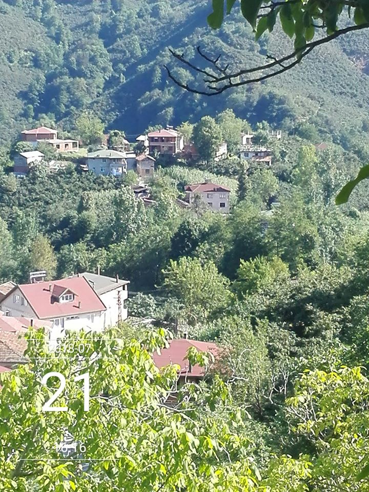 Fatsa Tayalı Köyü Resimleri 5