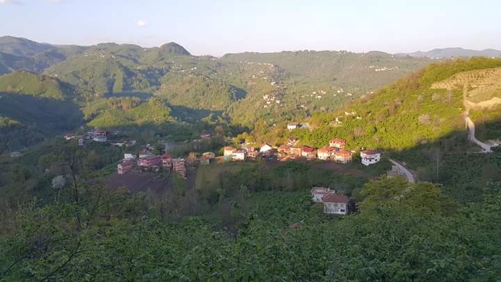 Fatsa Tayalı Köyü Resimleri 7