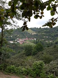 Fatsa Tayalı Köyü Resimleri 9