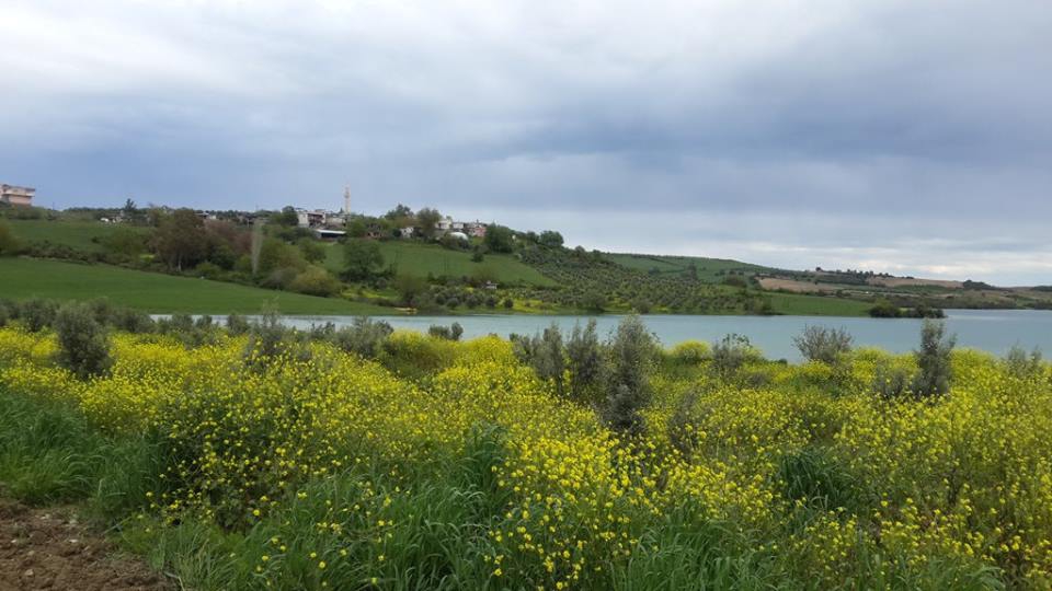 Adana Karaisalı Döşekevi Köyü Resimleri 3