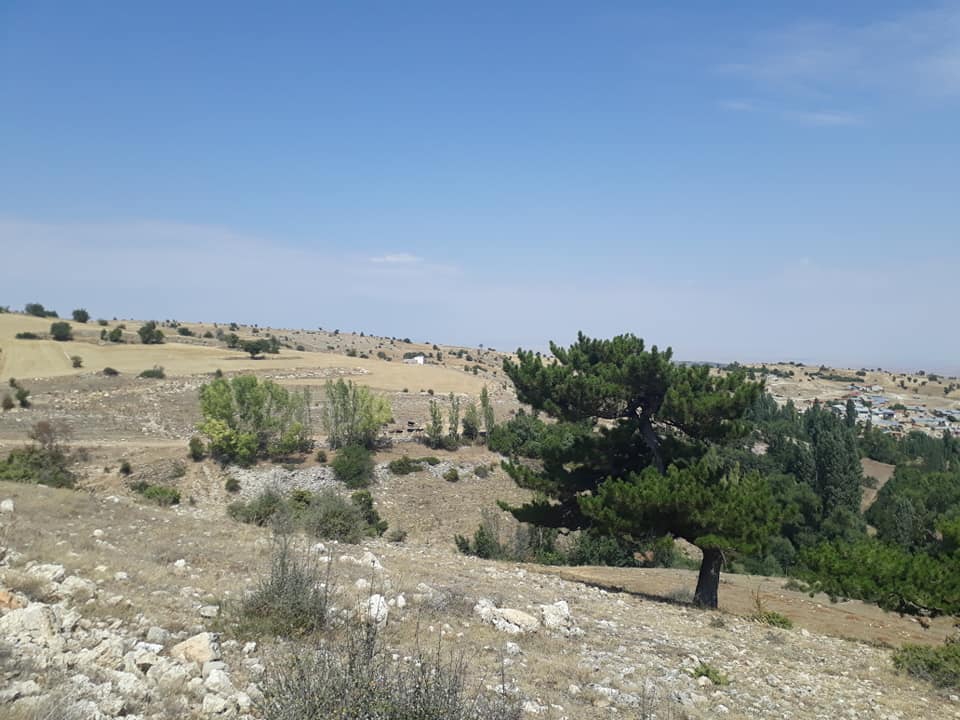 Ilgın Barakmuslu Köyü Resimleri 4