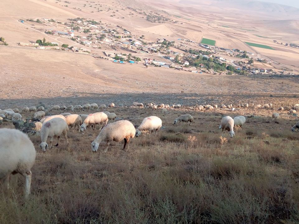 Ilgın Çobankaya Köyü Resimleri 3