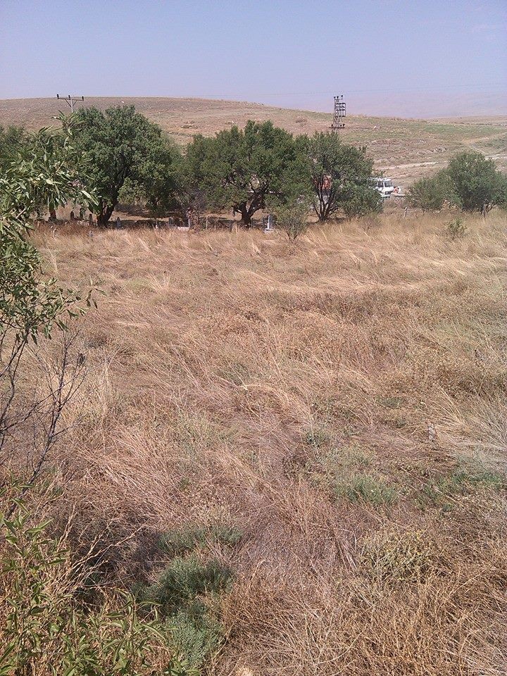 Ilgın Dereköy köyü Resimleri 4