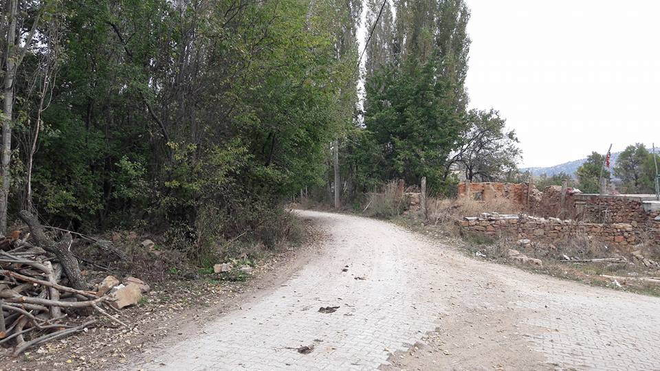 Ilgın Gökbudak Köyü Resimleri 5