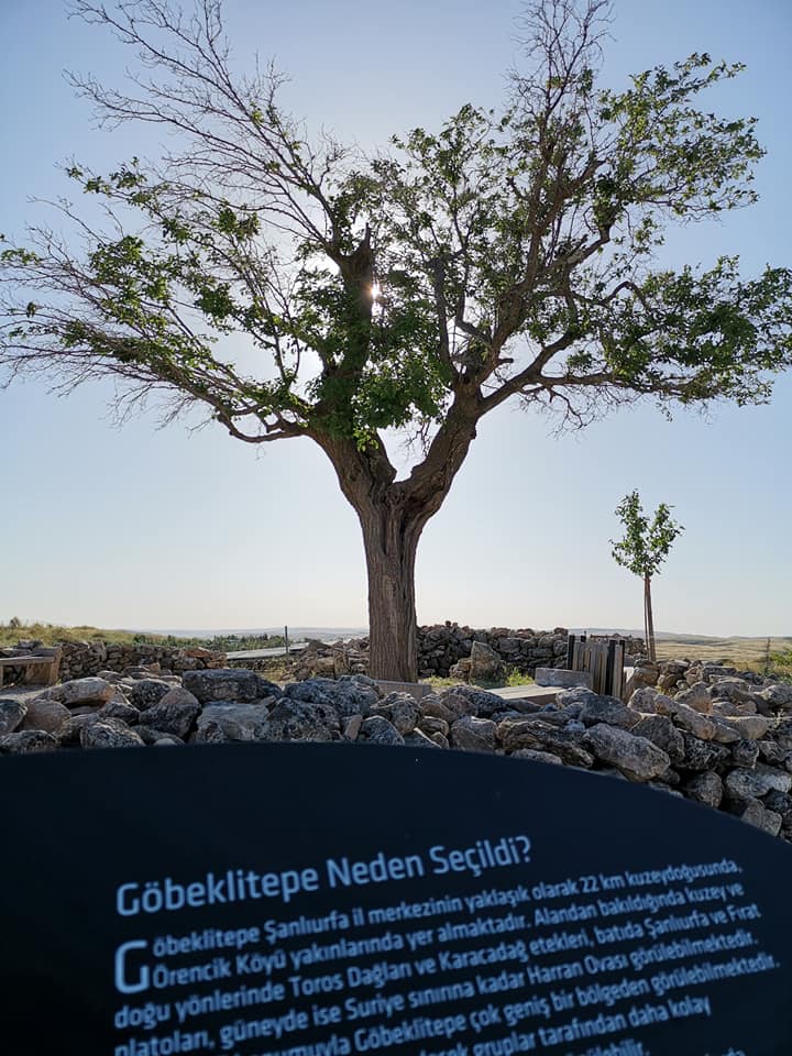Şanlıurfa Örencik Köyü Resimleri | Göbeklitepe Resimleri 11
