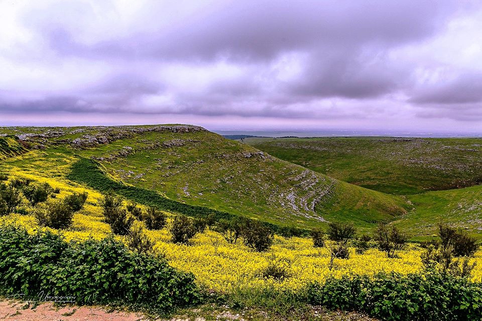 Şanlıurfa Örencik Köyü Resimleri | Göbeklitepe Resimleri 14
