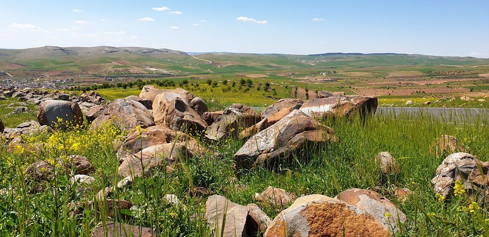 Şanlıurfa Örencik Köyü Resimleri | Göbeklitepe Resimleri 3