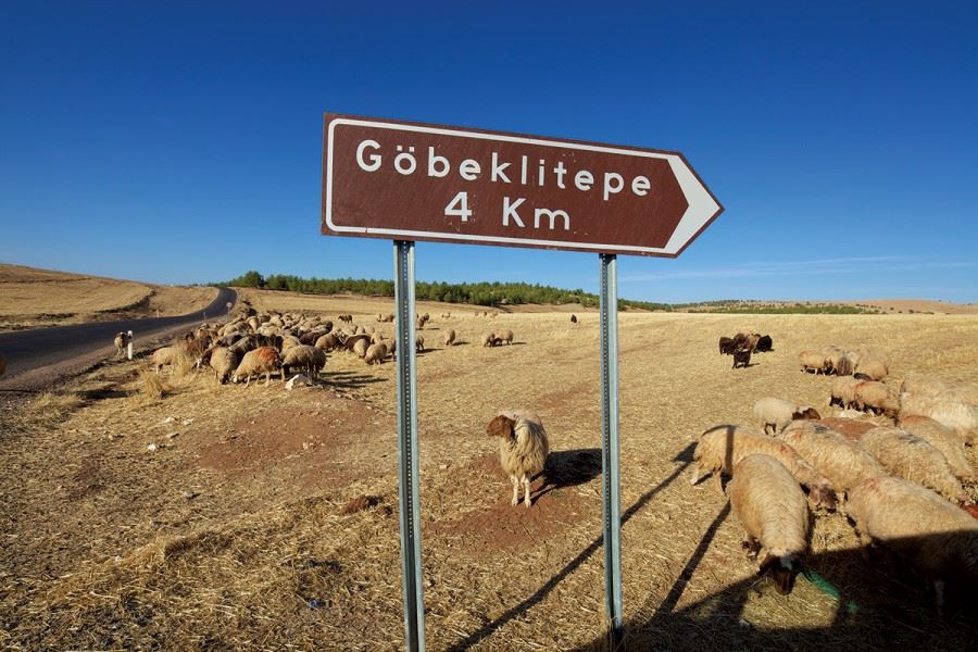 Şanlıurfa Örencik Köyü Resimleri | Göbeklitepe Resimleri 4