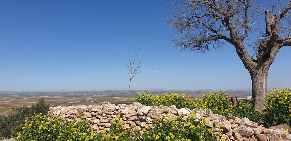 Şanlıurfa Örencik Köyü Resimleri | Göbeklitepe Resimleri 6