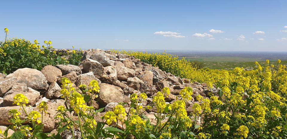 Şanlıurfa Örencik Köyü Resimleri | Göbeklitepe Resimleri 8