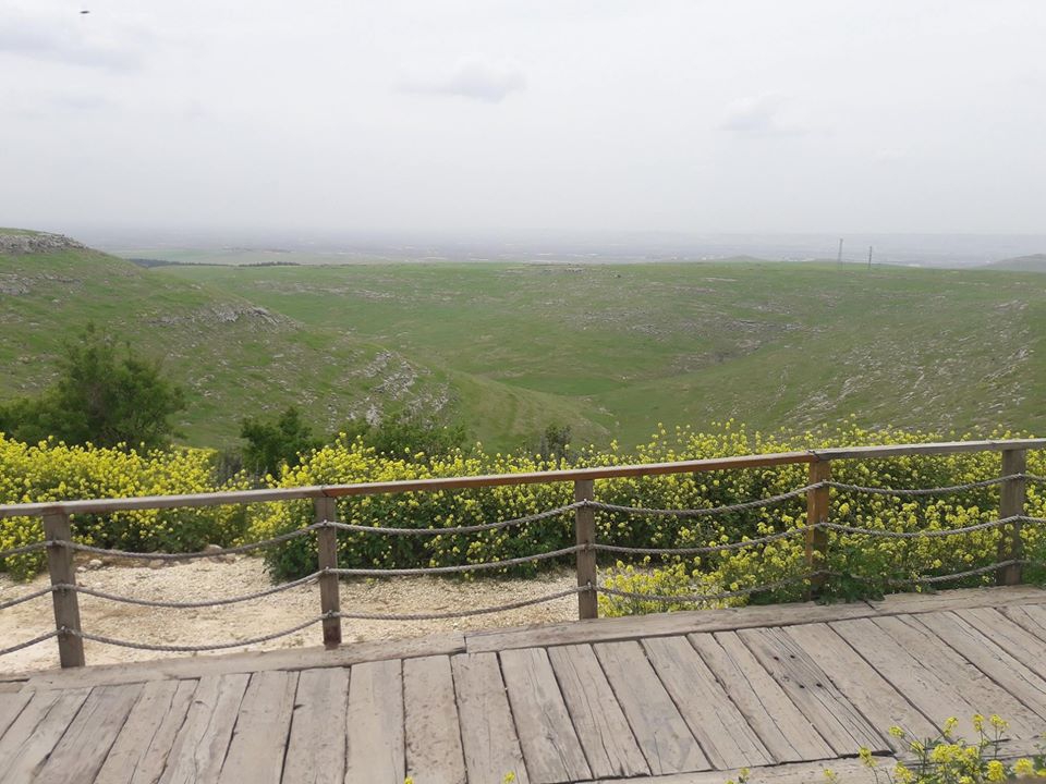 Şanlıurfa Örencik Köyü Resimleri | Göbeklitepe Resimleri 9