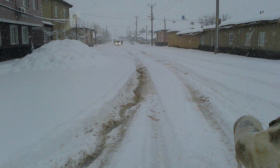 Ilgın Orhaniye Köyü Resimleri 3