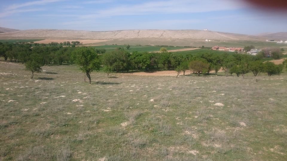 Ilgın Orhaniye Köyü Resimleri 8