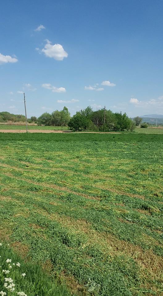 Ilgın Sadıkköy Köyü Resimleri 2