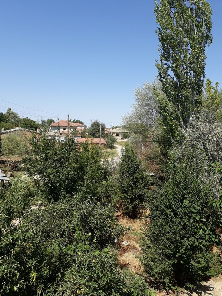 Ilgın Sadıkköy Köyü Resimleri 3