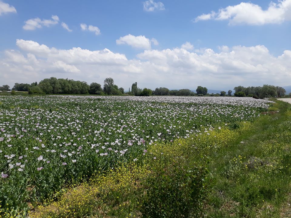 Ilgın Sadıkköy Köyü Resimleri 4
