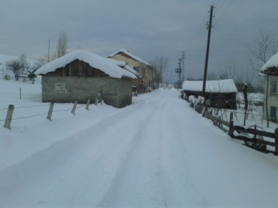 Alaçam Yeniköy Köyü Resimler 11