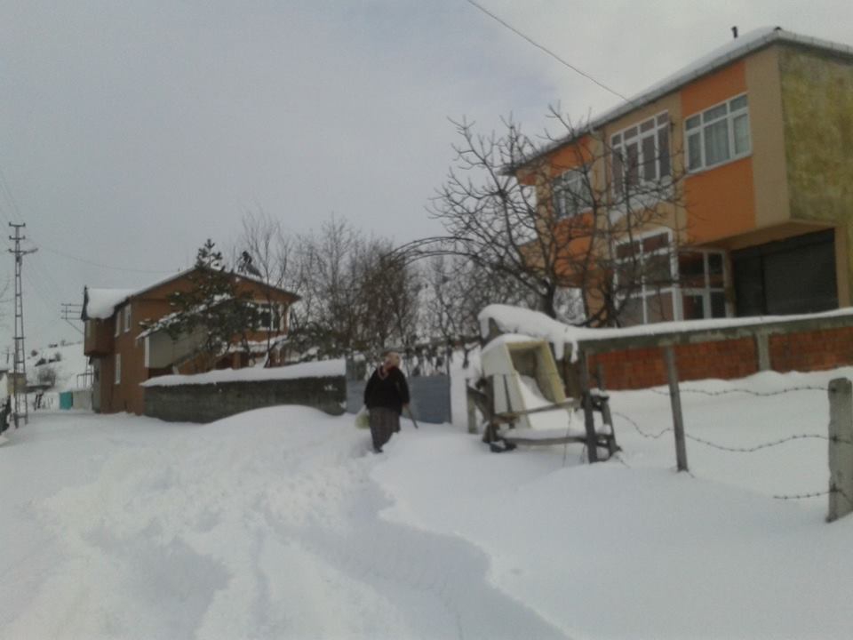 Alaçam Yeniköy Köyü Resimler 12