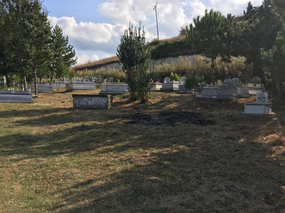 Alaçam Yeniköy Köyü Resimler 17