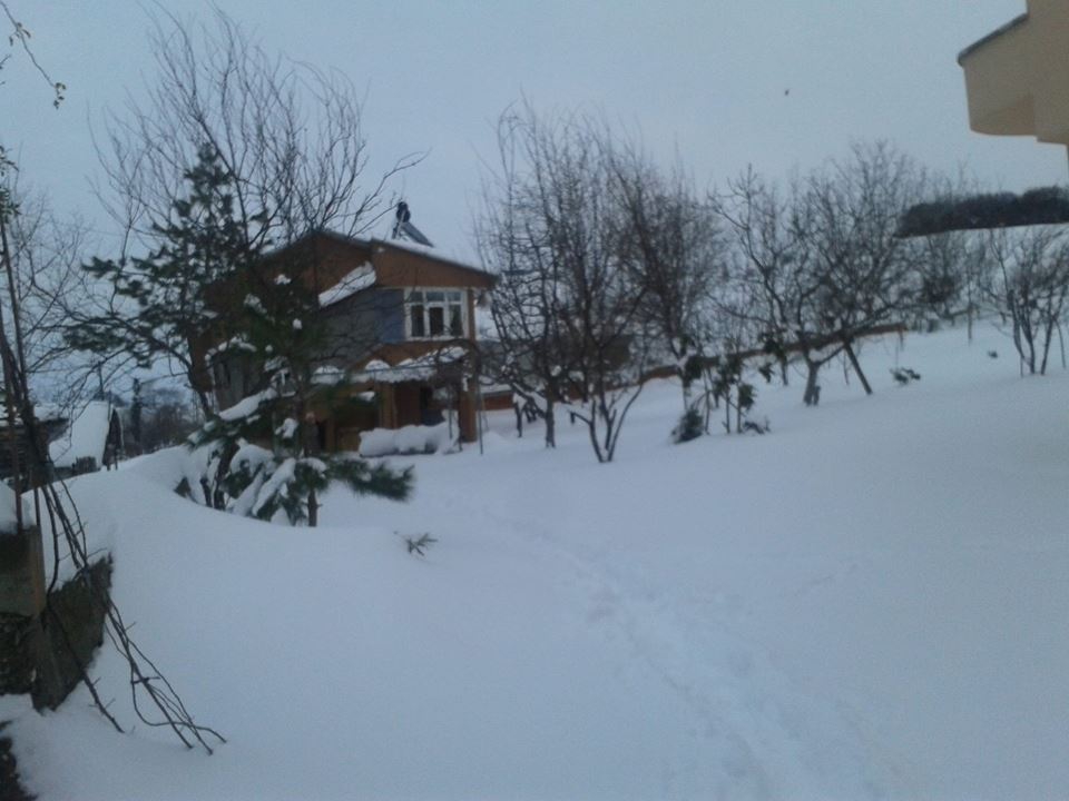 Alaçam Yeniköy Köyü Resimler 19