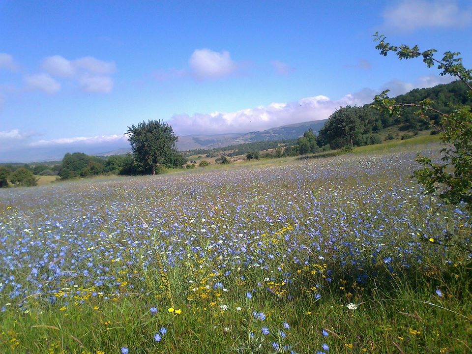 Reşadiye Keteniği Köyü Resimleri 5