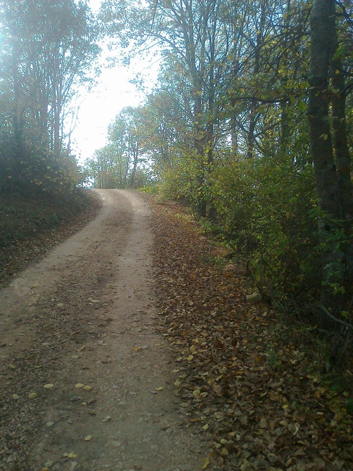 Reşadiye Keteniği Köyü Resimleri 6