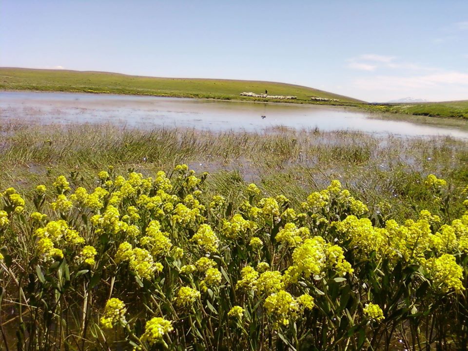 Reşadiye Keteniği Köyü Resimleri 7