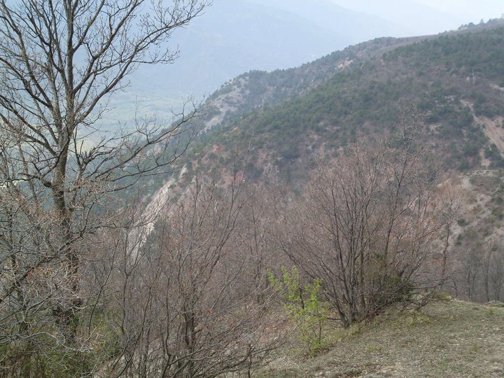 Reşadiye Saraykışla Köyü Resimleri 3