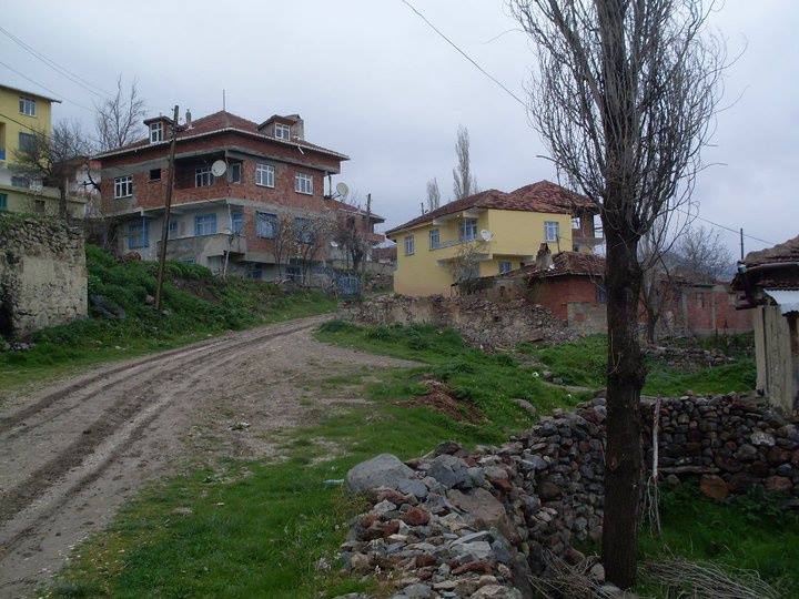 Reşadiye Saraykışla Köyü Resimleri 5