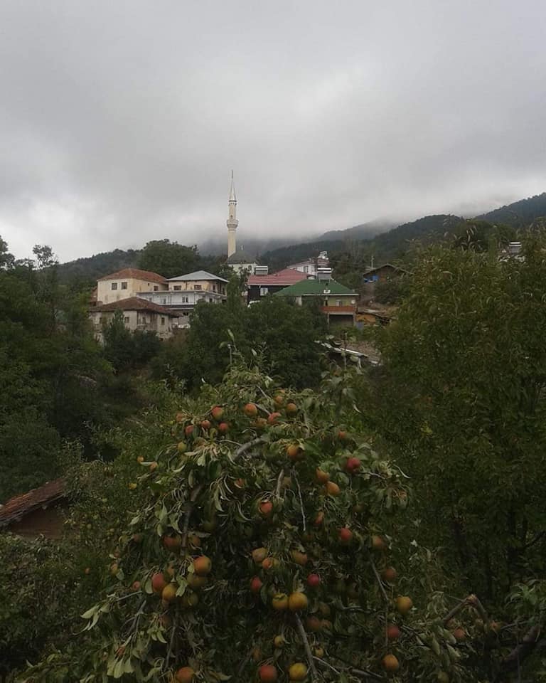 Reşadiye Sarıyayla Köyü Resimleri 1