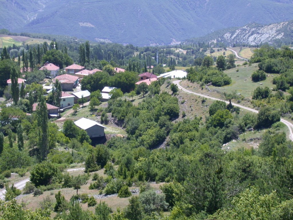 Reşadiye Sarıyayla Köyü Resimleri 12