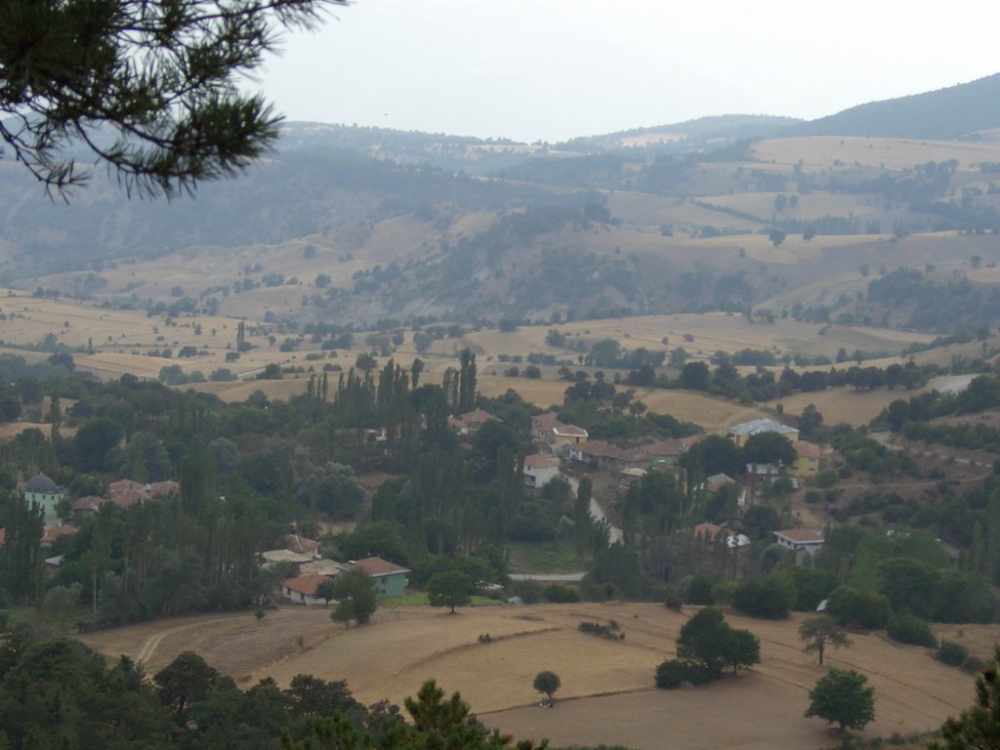 Reşadiye Sarıyayla Köyü Resimleri 5