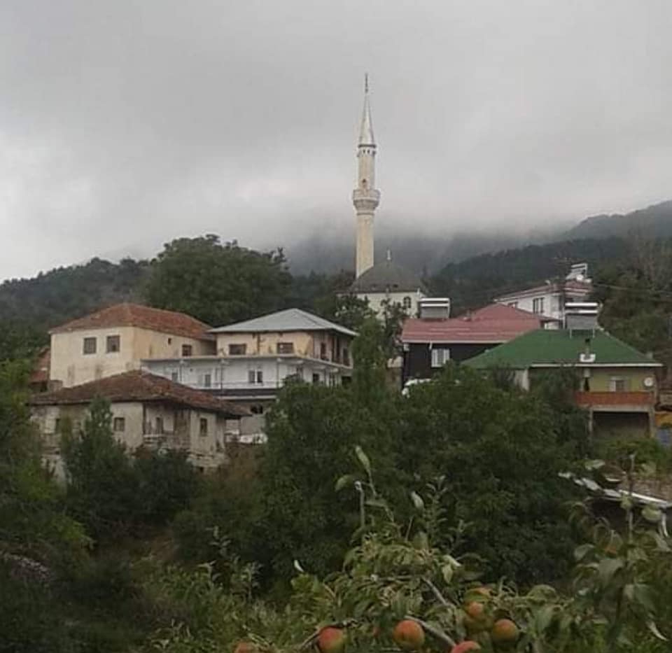 Reşadiye Sarıyayla Köyü Resimleri 7