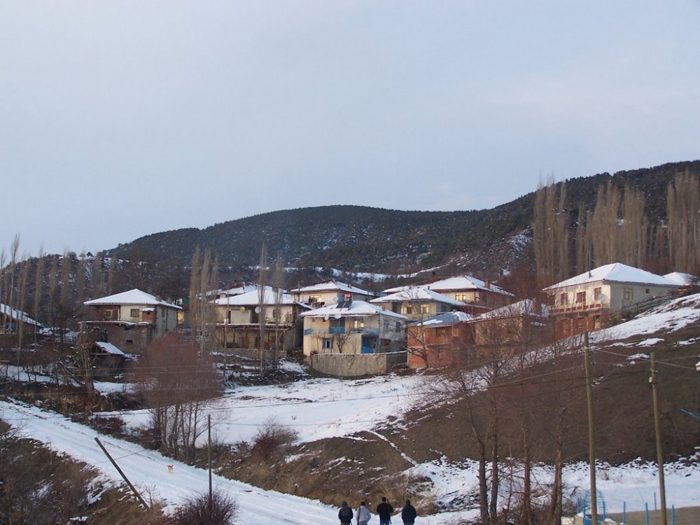Reşadiye Sarıyayla Köyü Resimleri 8