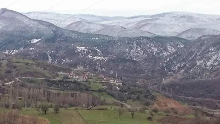 Reşadiye Uluköy  Resimleri 5