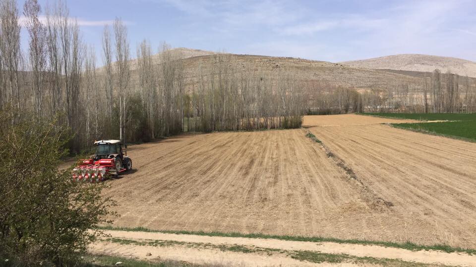 Ilgın Zaferiye Köyü Resimleri 9