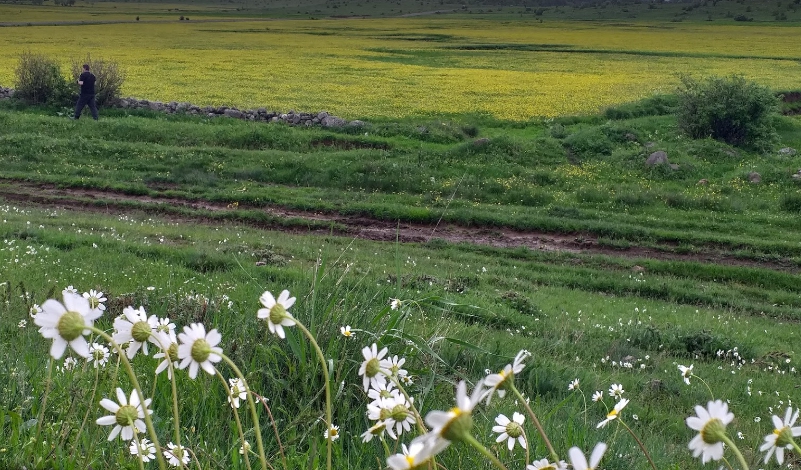 Reşadiye Yağsiyan Köyü Resimleri 8