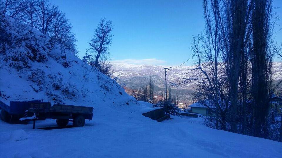 Reşadiye Yeşilyurt Köyü Resimleri 1