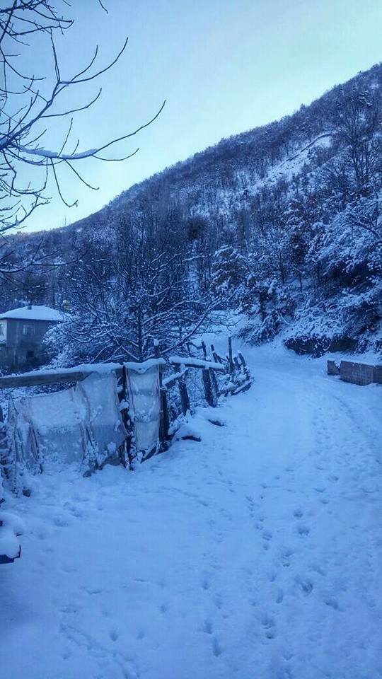 Reşadiye Yeşilyurt Köyü Resimleri 11