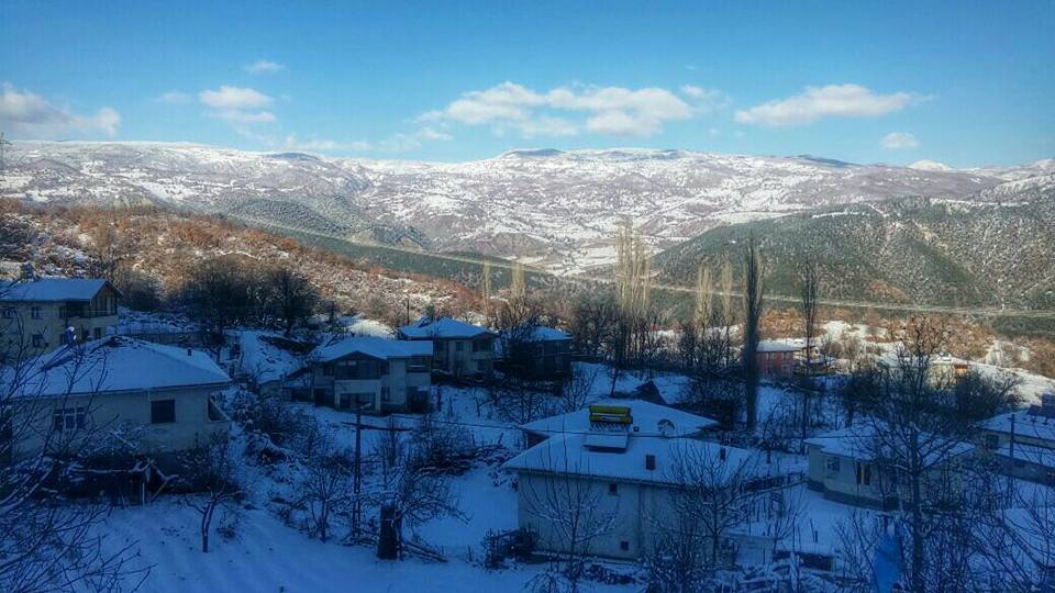 Reşadiye Yeşilyurt Köyü Resimleri 5