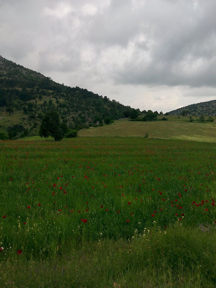 Kadınhanı Bulgurpınarı Köyü Resimleri 6
