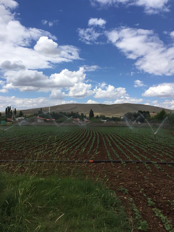 Kadınhanı Demiroluk Köyü Resimleri 3