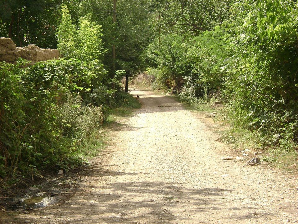 Turhal Arzupınarı Köyü Resimleri 2