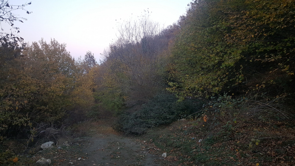 Turhal Buzluk Köyü Resimleri 2