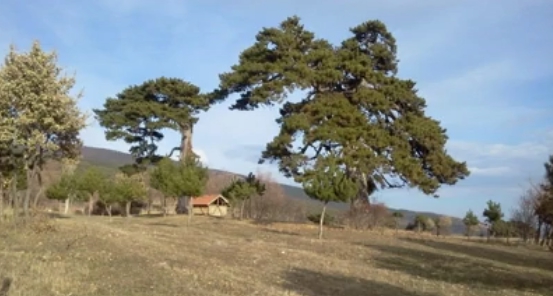 Turhal Erenli Köyü Resimleri 5