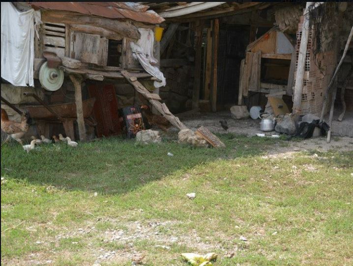 Alaçam Yukarısoğukçam Köyü Resimleri 10