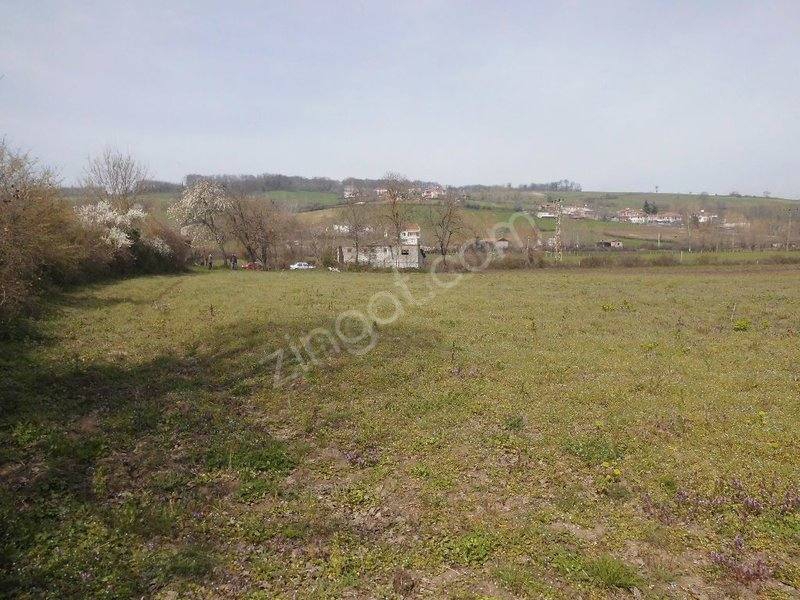 Alaçam Yukarısoğukçam Köyü Resimleri 11