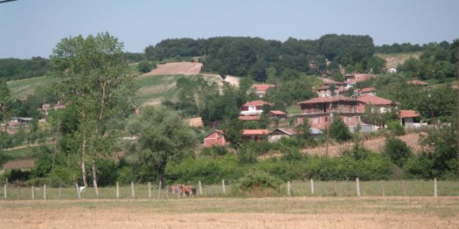 Alaçam Yukarısoğukçam Köyü Resimleri 3